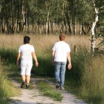 Wandelen in de Peel